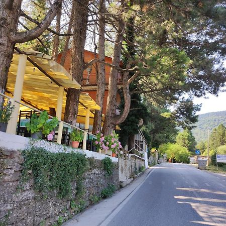 Hotel Toni Llogora Dukat Bagian luar foto