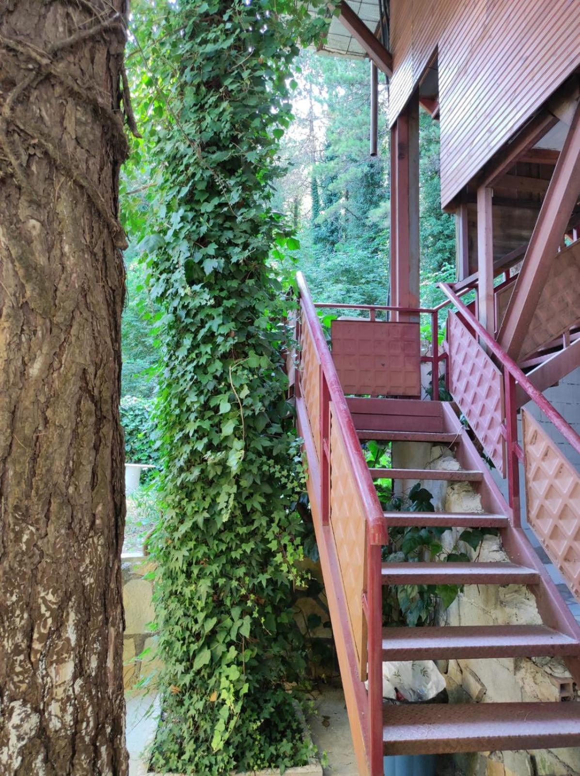 Hotel Toni Llogora Dukat Bagian luar foto